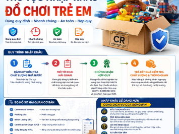 🧸 HƯỚNG DẪN CHI TIẾT THỦ TỤC NHẬP KHẨU ĐỒ CHƠI TRẺ EM