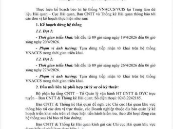 Tạm dừng hệ thống VNACCS/VCIS để bảo trì trong tháng 04/2026
