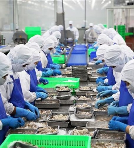 Agro-forestry-aquatic product exports increase over 13% in first quarter