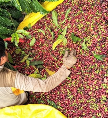 Việt Nam has many opportunities to expand export in Russia