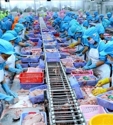 Việt Nam taps halal market to boost agricultural exports