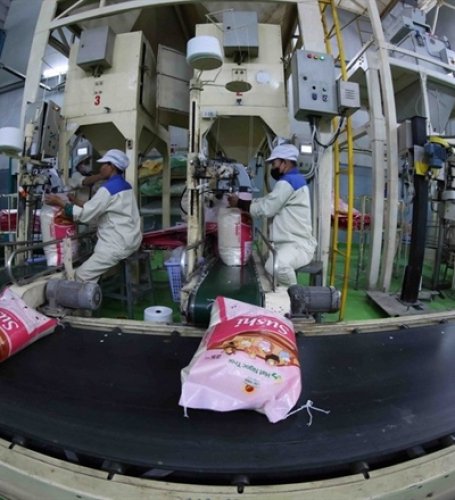 Vietnamese eyes Africa as next export frontier amidst risks in traditional markets