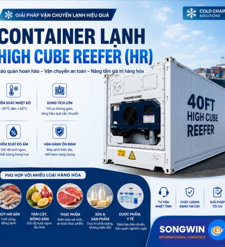 What Is a High Cube Reefer Container (HR)? The Optimal Solution for Transporting Frozen and Fresh Cargo